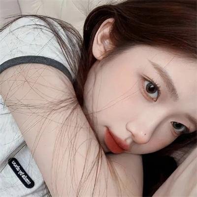 终结杉计划 封面